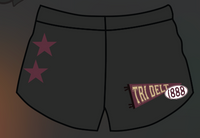 FLORIDA STATE TRI DELT HEAVYWEIGHT SHORTS